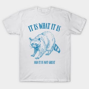 It is What It Is And It Is Not Great Funny Raccoon T-Shirt